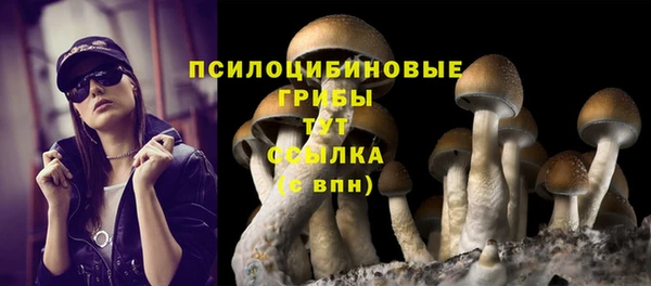 MDMA Premium VHQ Богородск