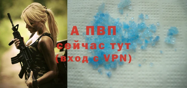 spice Богданович