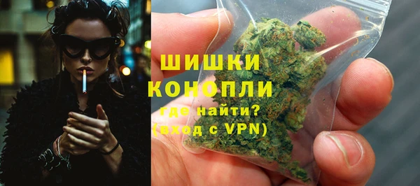 spice Богданович