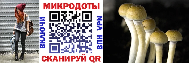 Галлюциногенные грибы Psilocybine cubensis  Нефтеюганск 